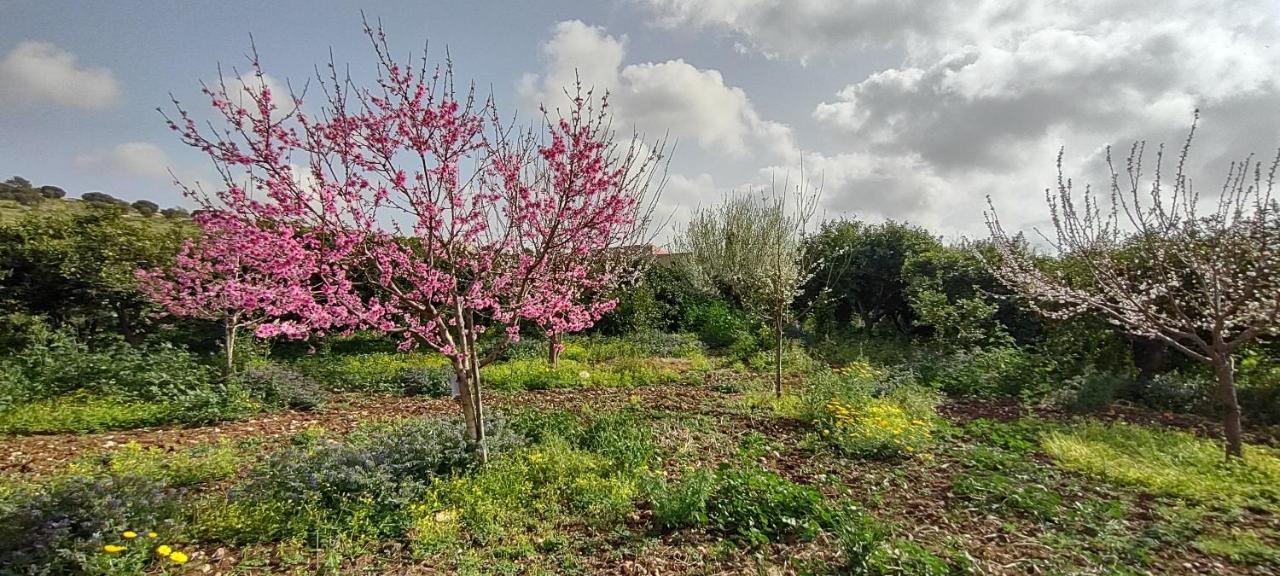 Casale Imperatore مارينا دي راغوزا المظهر الخارجي الصورة